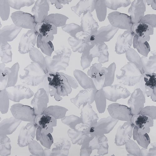 Orchid