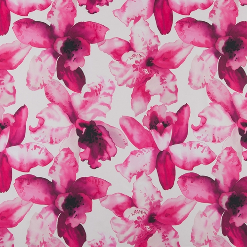 Orchid