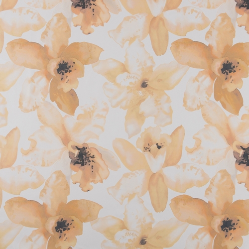 Orchid