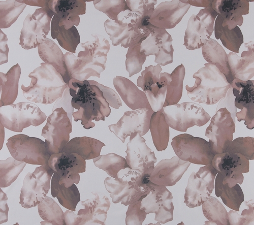 Orchid