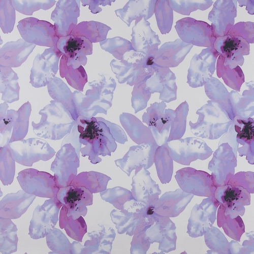 Orchid